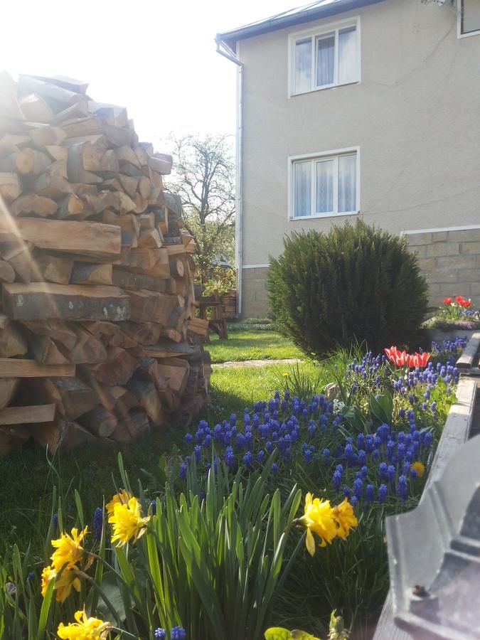 Гостевой дом Sadyba U Olgy Яремче