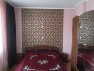 Гостевой дом Sadyba U Olgy Яремче Классический двухместный номер с 1 кроватью-1