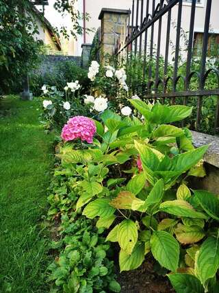 Гостевой дом Sadyba U Olgy Яремче-6