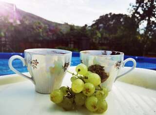 Гостевой дом Sadyba U Olgy Яремче-7