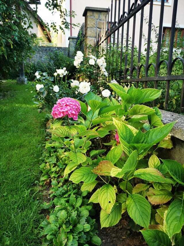 Гостевой дом Sadyba U Olgy Яремче-9